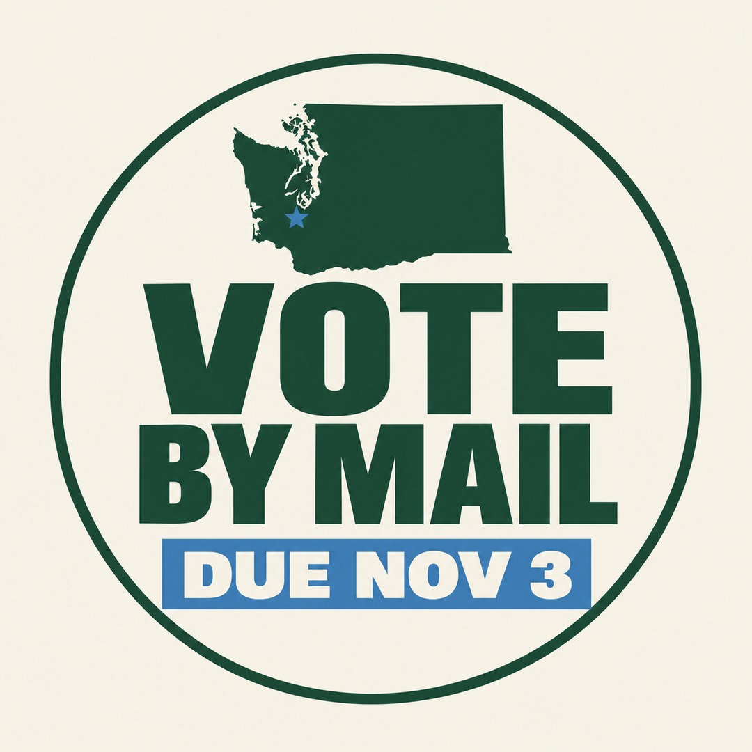 Washington vote picture, hand-made design 6